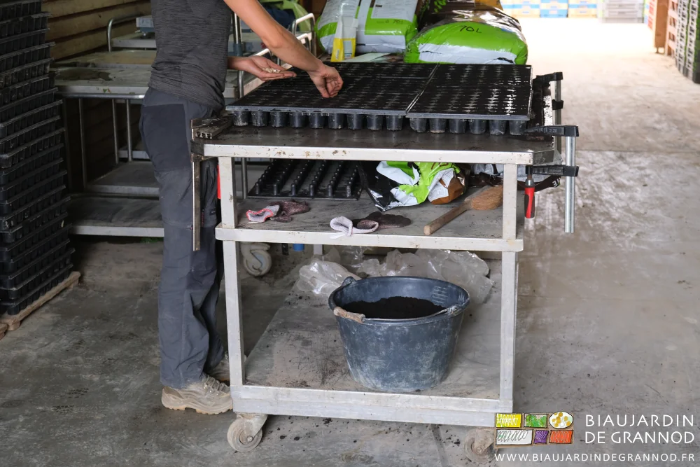 photo de la table de semis avec son rayonnage de rangement d'outils et sachets