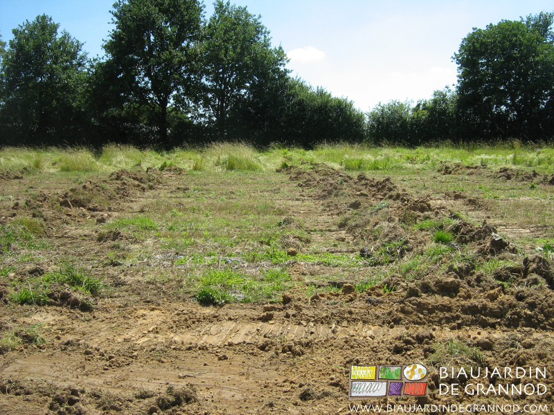 photo des traces de soulèvement laissées par la dent sous-soleuse de la draineuse