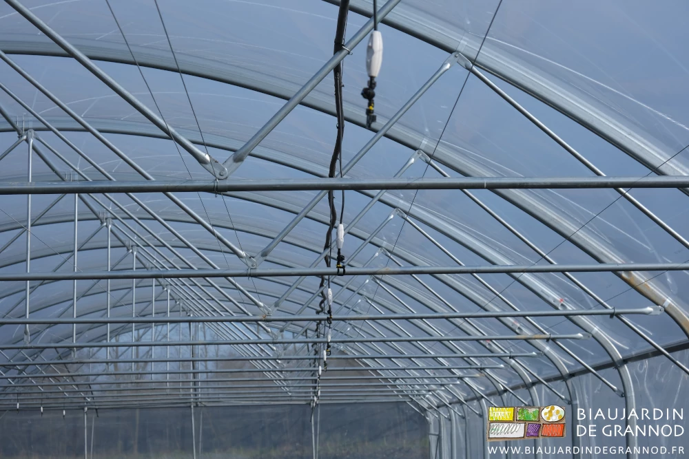 photo d'une ligne d'asperseurs bas débit avec lest et anti goutte sous tunnel