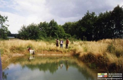 photo de la retenue pour infiltration lente des eaux collectées par notre drainage
