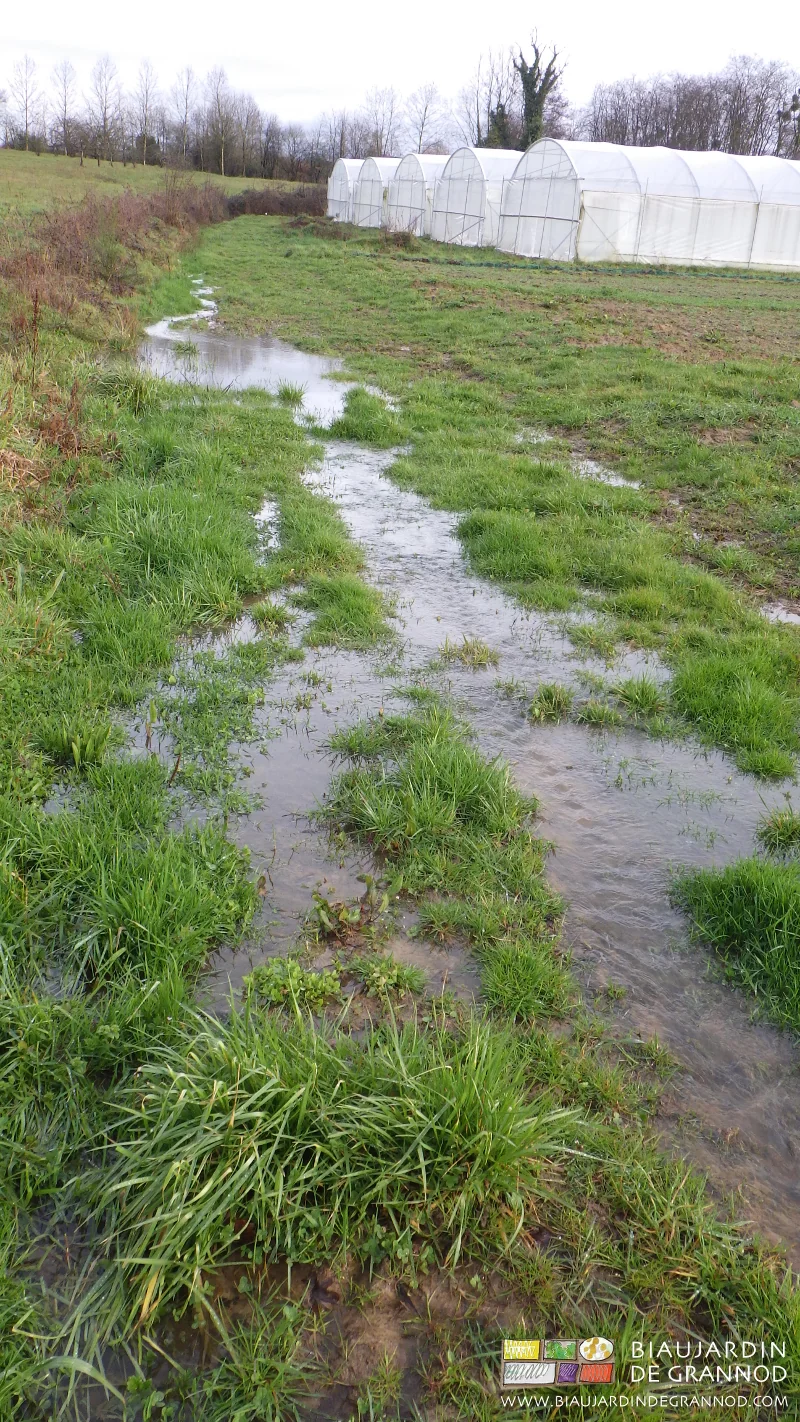 photo d'une inondation arrivant par un chemin au dessus d'une parcelle
