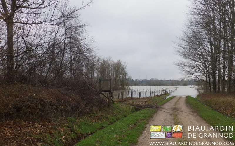 photo de la prairie de Seille couverte par inondation juste au dessous de notre jardin
