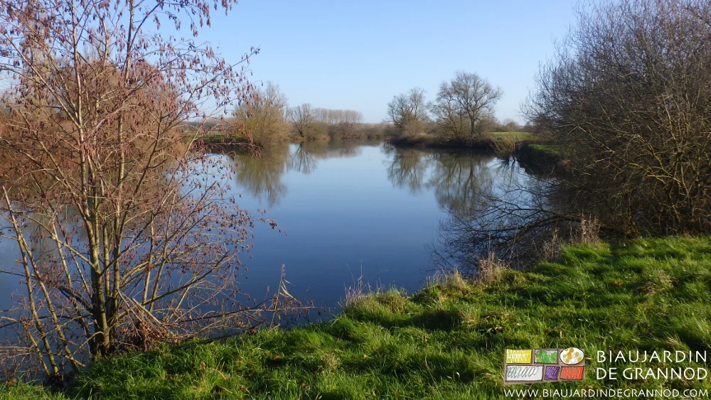 photo au soleil hivernal de la Seille et ses méandres