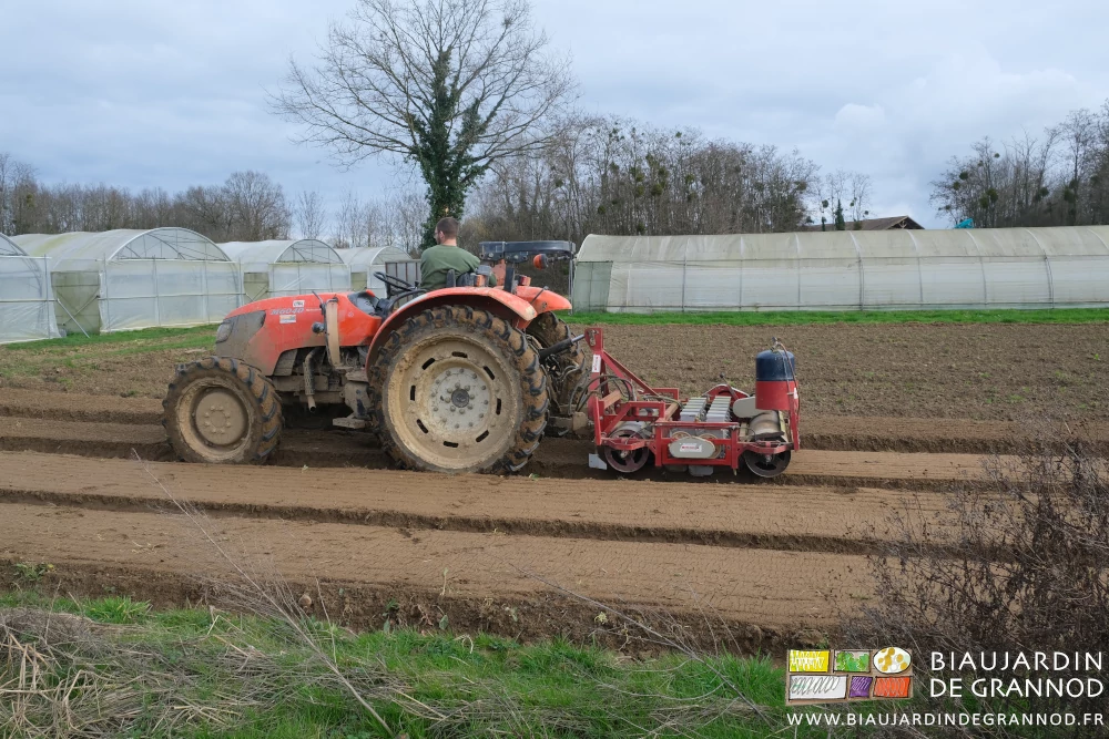 photo de semis par temps humide en plein champ