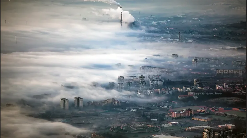 photo Arte du documentaire l'homme a mangé la terre