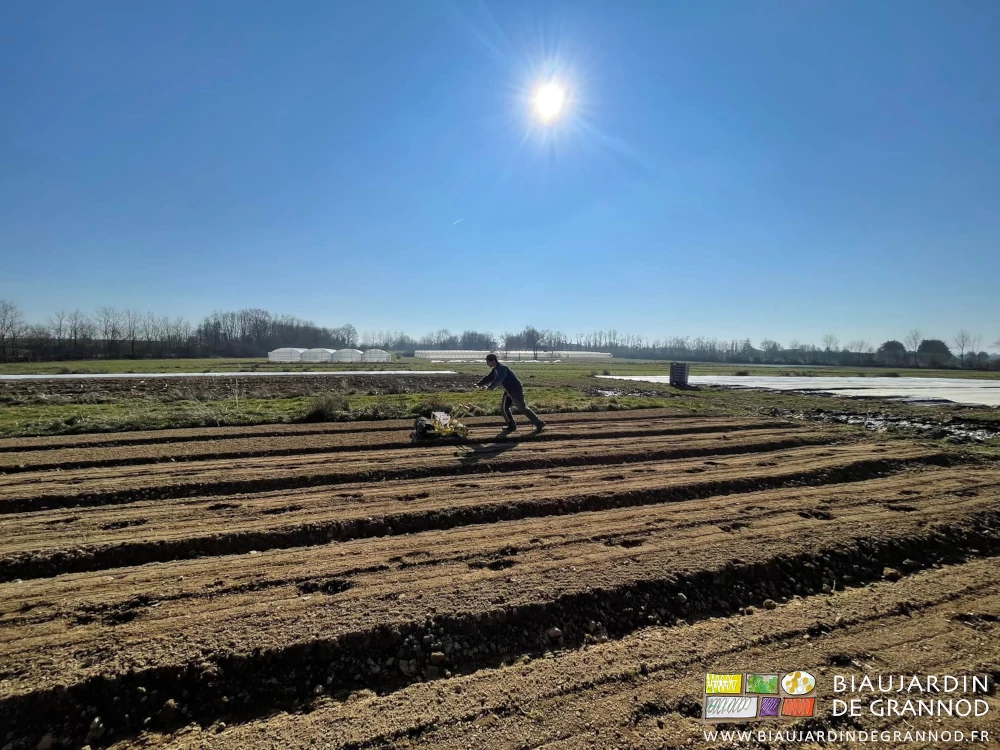 photo grand angle de Vivien poussant le semoir 3 rangs sous beau soleil