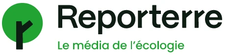 logo du site Reporterre, le média de l'écologie : un arbre