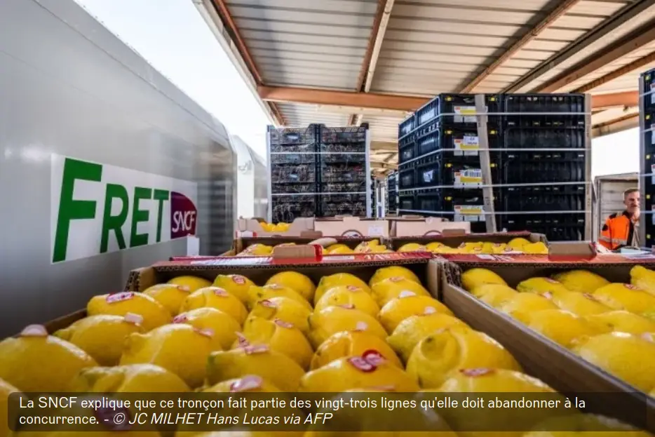 copie revue Reporterre palettes de citrons en attente de chargement en wagon fret sncf