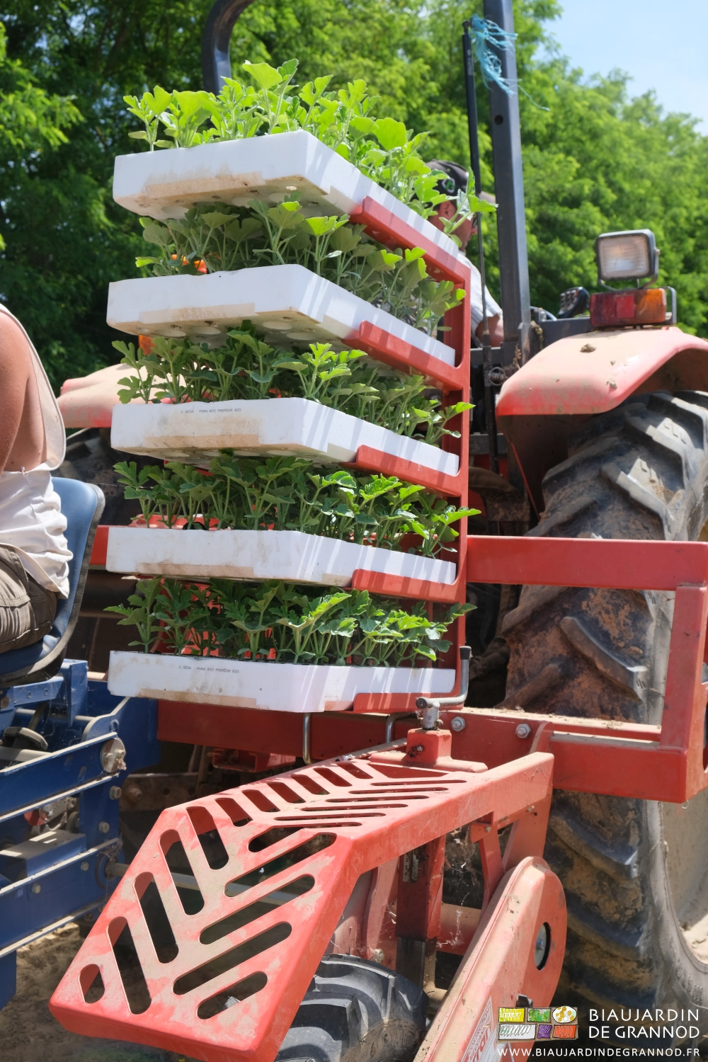 photo des 5 étagères stockant 5 plaques de mottes, celle sur la protection de roue enlevée pour la plantation 