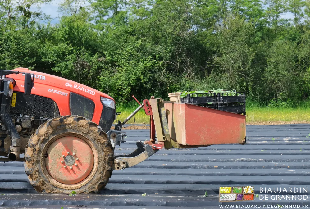 Photo de la bennette attelée au relevage avant et remplie de cagettes de plants