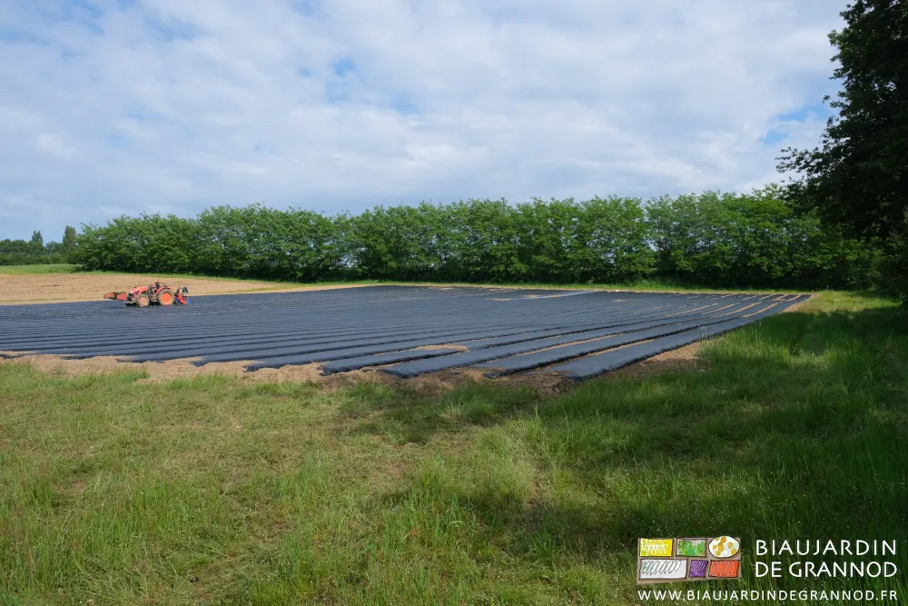 Photo de la Ferrari au repos chargée de plusieurs plaques de plants auto-construits à la ferme
