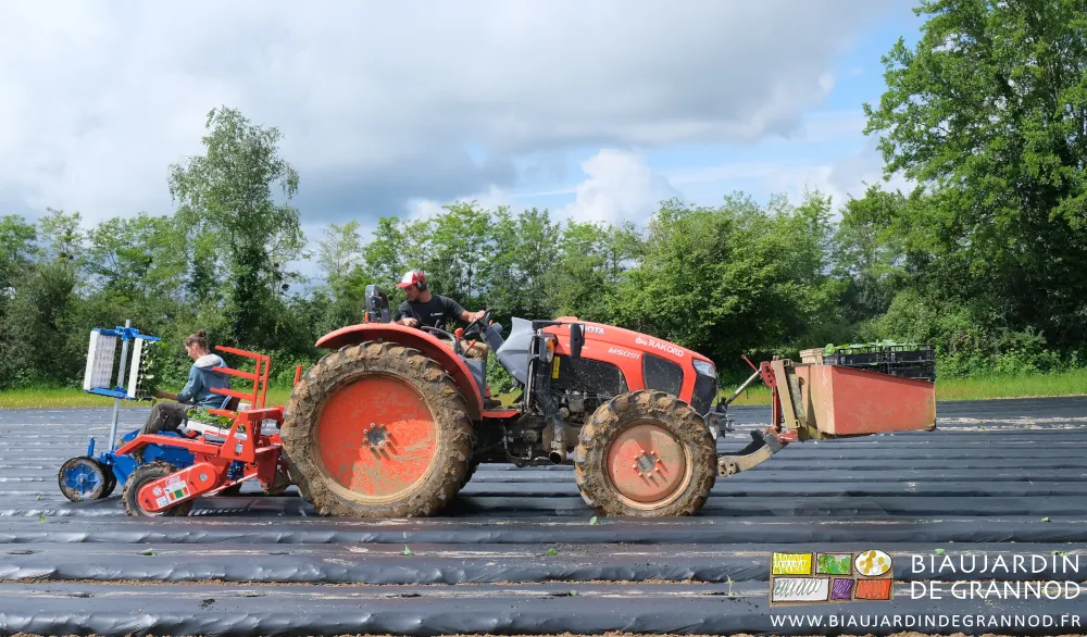 Photo d’ensemble de l’équipe plantation 2 personnes en confort et rapidité sur 3 outils d’occasion