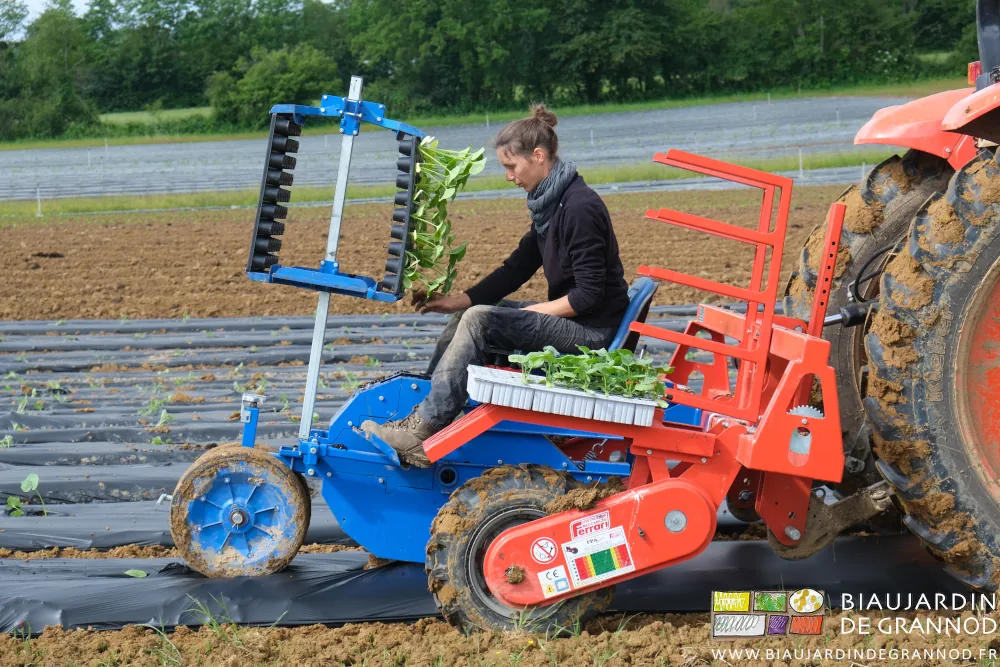 Photo de Émilie assise en position confortable pour alimenter la planteuse