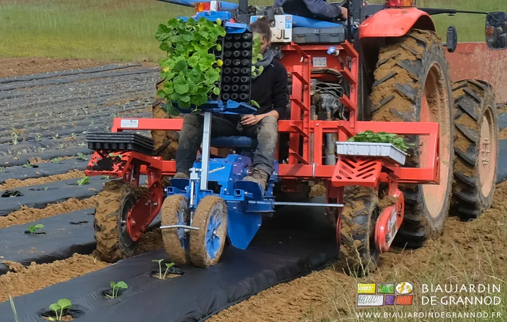 Photo de Blandine confortablement installée au travail sur le siège de la Ferrari