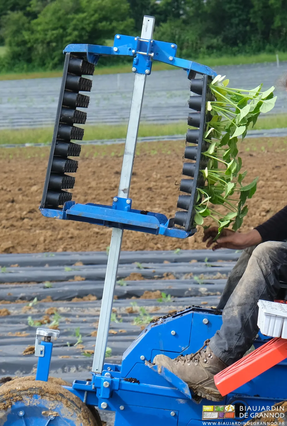 Photo du tourniquet tenant des plaques de mottes à portée immédiate de main