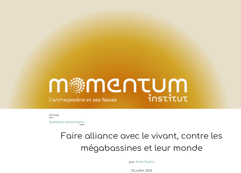 copie d'écran du site de l'institut Momentum