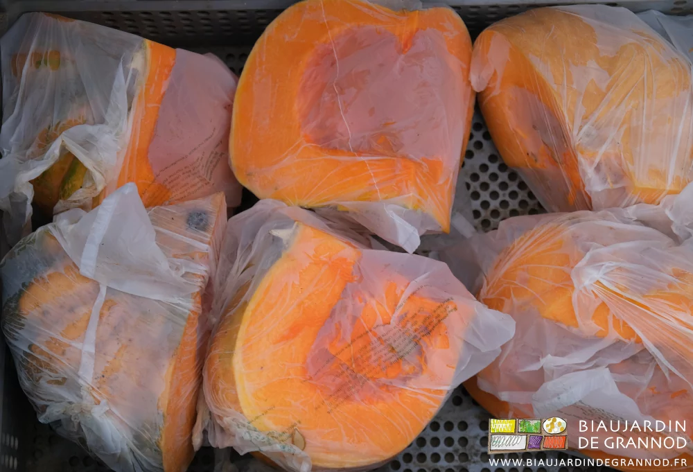 photo de quartiers de muscade sa chair orange vif