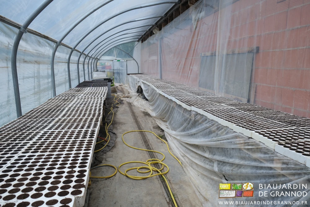 photo des plaques de polystyrène sur les tablettes de culture de notre serre bioclimatique