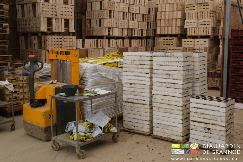 photo de piles de plaques polystyrène percée, en cours de remplissage avec du terreau