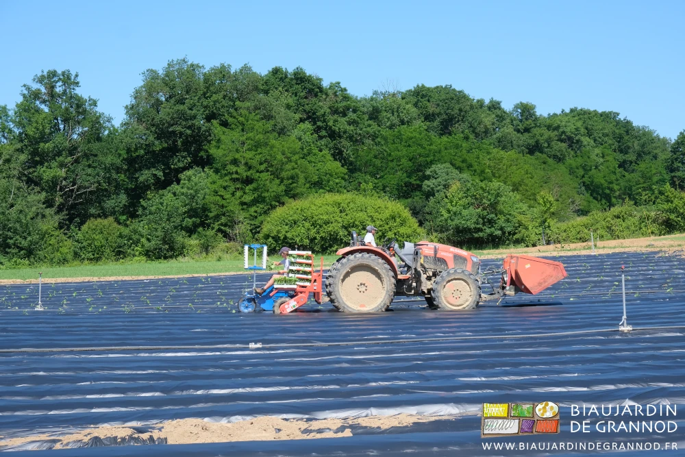 photo d'ensemble tracteur, planteuse, benne avant sur fond de haie bocagère et bois