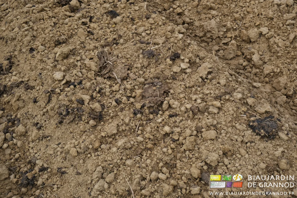 photo proche de fumier grossièrement incorporé en surface avec le vibroplanche
