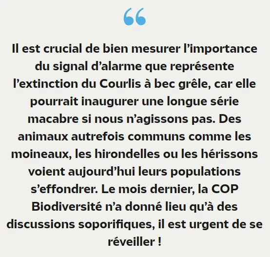 copie d'écran de l'alarme disparition moineau, hirondelle, hérisson