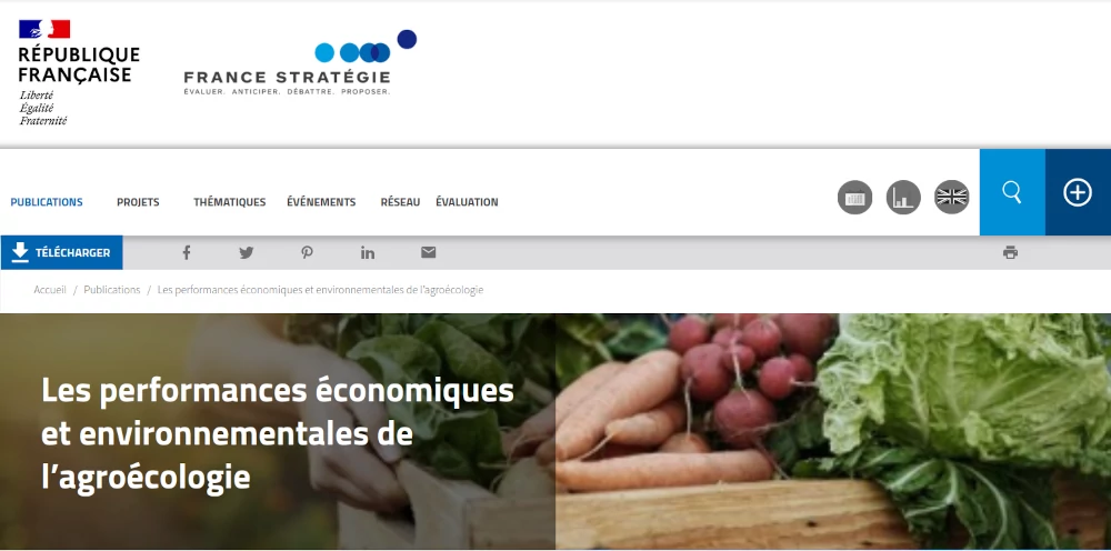 capture d'écran du site France Statégie