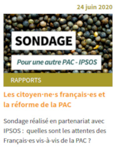 copie d'écran de l'annonce du sondage IPSOS et de son analyse