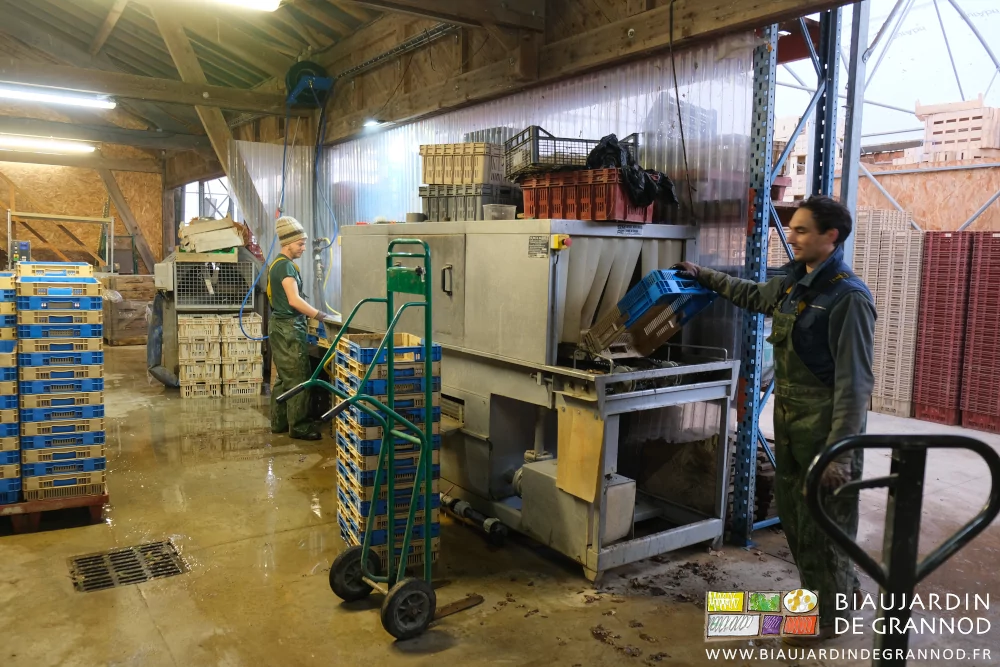 photo de Vivien disposant les caisses à l’entrée de laveuse et valentin les récupérant à la sortie