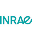 logo bleu vert de l'INRAE