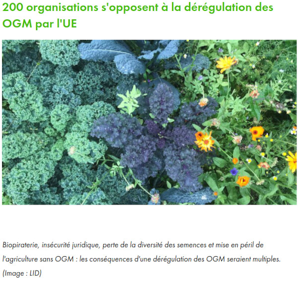 copie d'écran diversité de végétaux commestibles site alliance suisse pour agriculture sans génie génétique