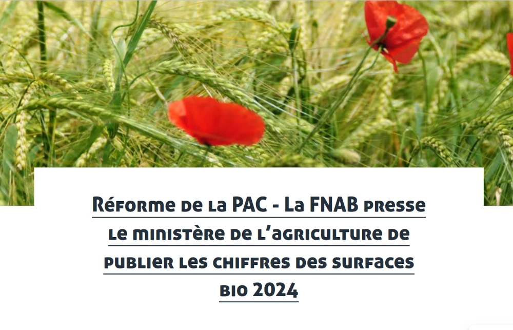 copie d'écran du communiqué FNAB sur fond de coquelicots
