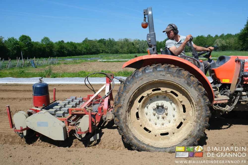 photo de Matthieu semant du radis botte plein champ au tracteur avec le semoir Huet