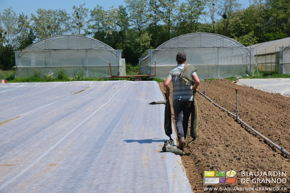 photo de Matthieu distribuant à la main les sacs de sable le long des planches