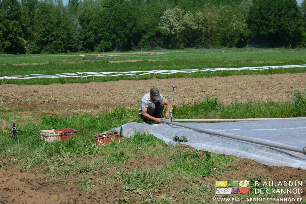 photo de Matthieu assemblant au sol les tubes de l'installation d'arrosage