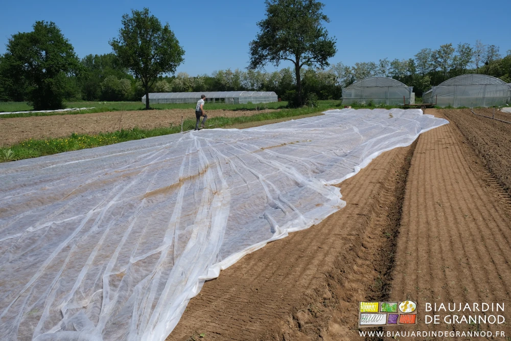 photo du voile déroulé sur le carré et en cours d'ajustement sur les planches