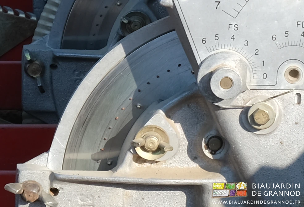 photo du disque inox dont chaque trou est garni d'une seule graine