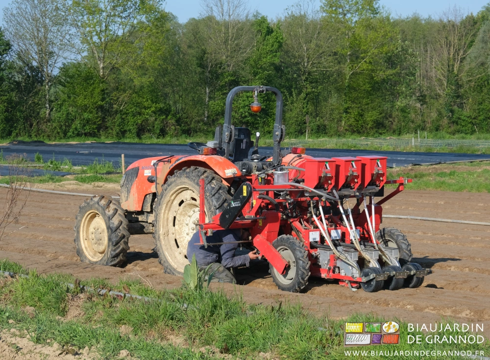 photo de Matthieu modifiant les réglages de l'outil lors du semis au champ