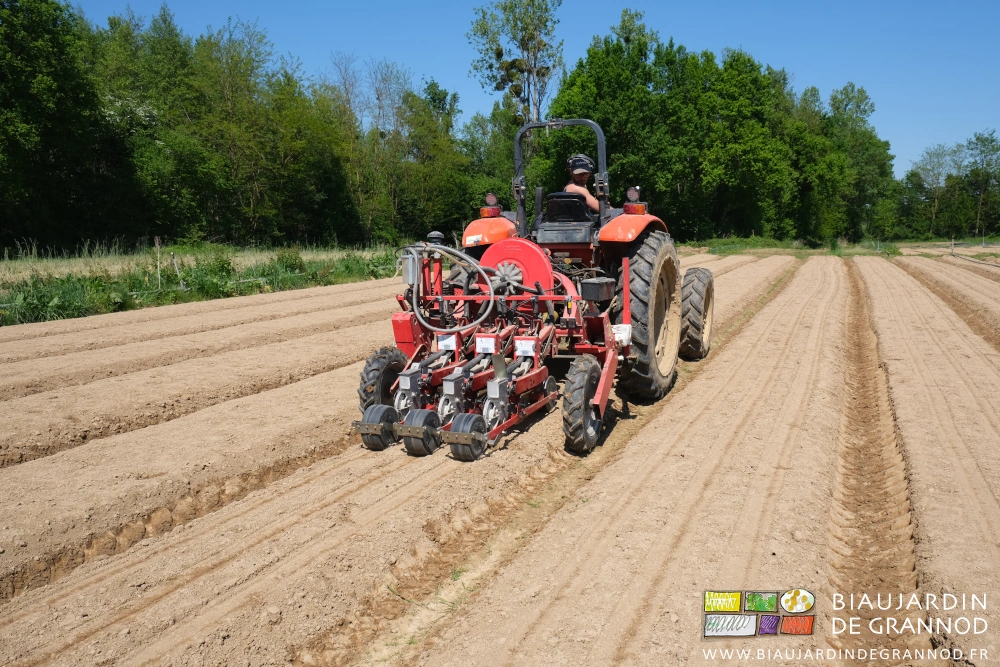 photo de semis avec le pneumatique en planche près de nos haies bocagères