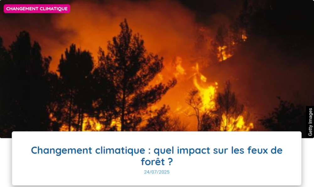 photo d'un feu de forêt copie d'écran site MétéoFrance