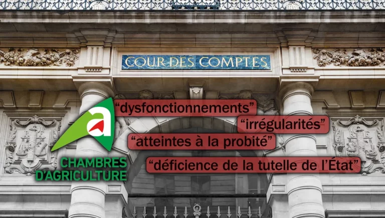 Photo de la Cour des comptes à Paris le 20 février 2024. ©AFP - MARTIN NODA