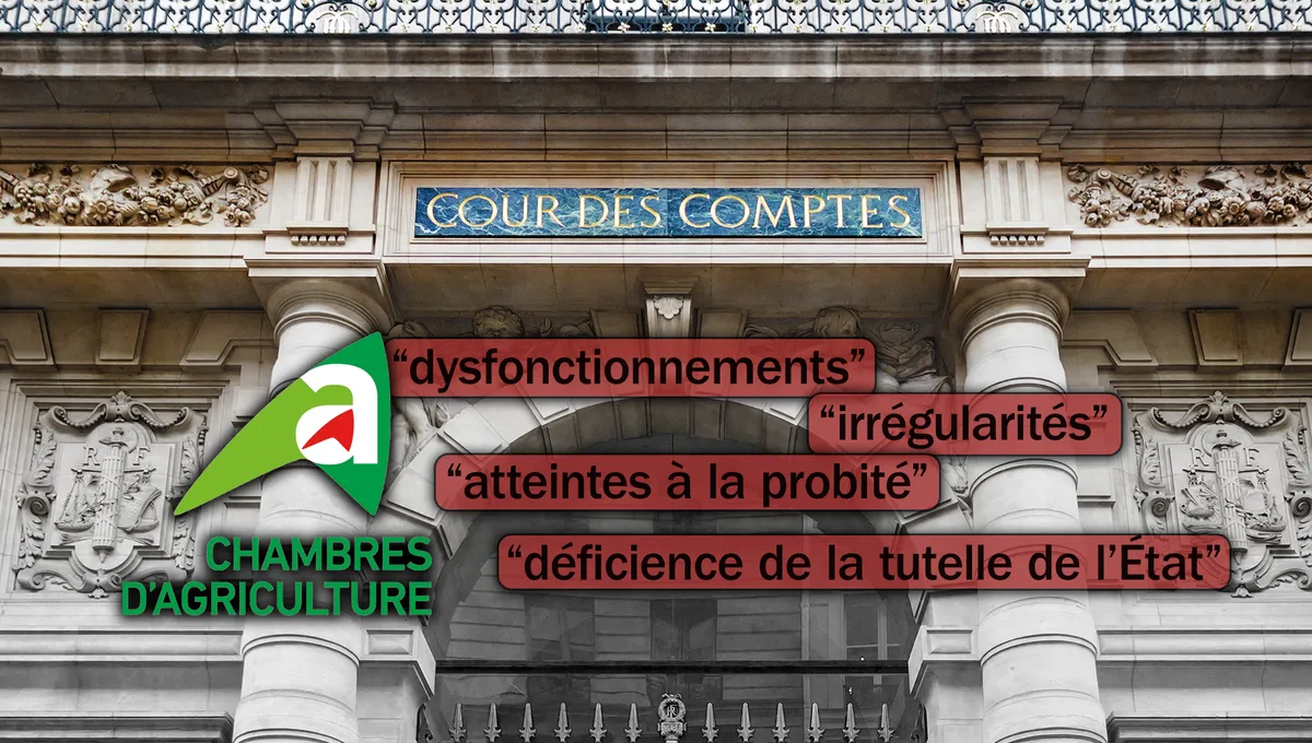 Photo de la Cour des comptes à Paris le 20 février 2024. ©AFP - MARTIN NODA