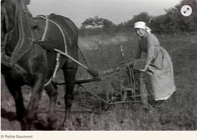 copie d'écran France Info charrue à cheval menée par une femme qui sourit