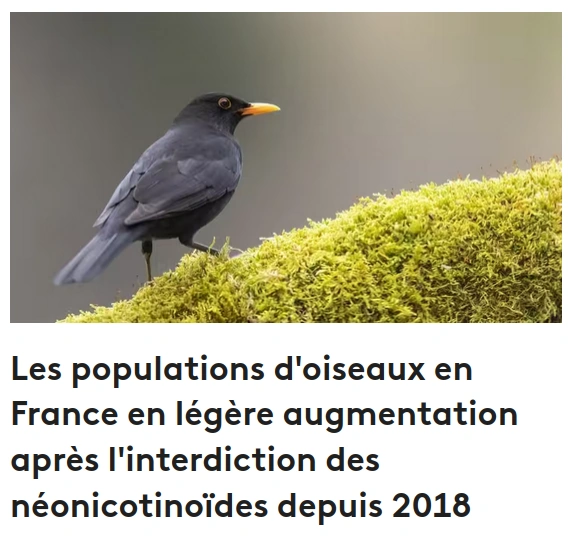 copie france info lé"gère augmentation des oiseaux depuis l'interdiction des néonicotinoïdes