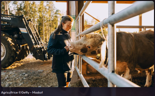 copie écran France culture une agricultrice nourrit ses bêtes au cornadis