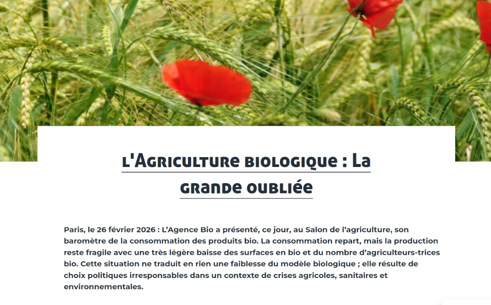 copie d'écran du titre du communiqué de presse sur fond de coquelicot et céréale