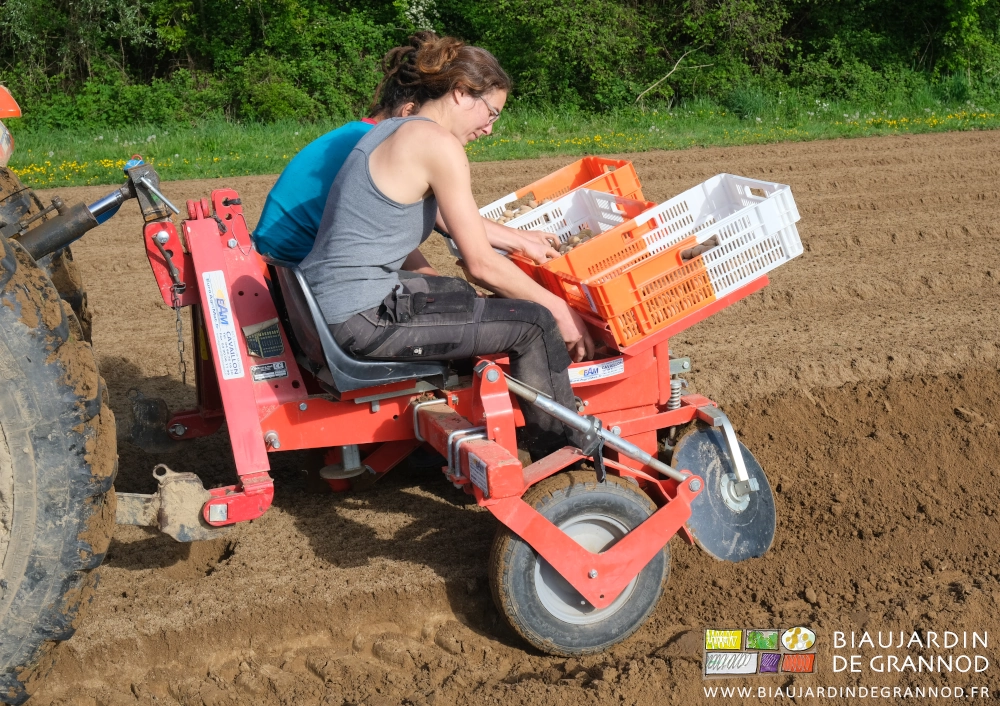 photo d'Alice et Morgane installant les plants dans les alvéoles du barillet