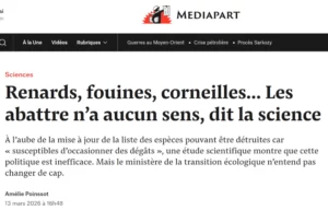 copie écran titre Mediapart renard fouine corneille les abattre n'a aucun sens dit la science
