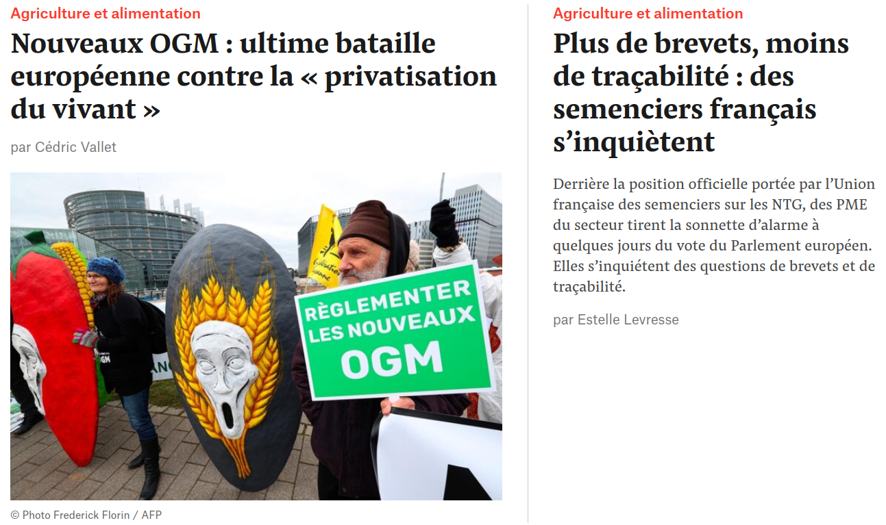 copie écran Mediapart