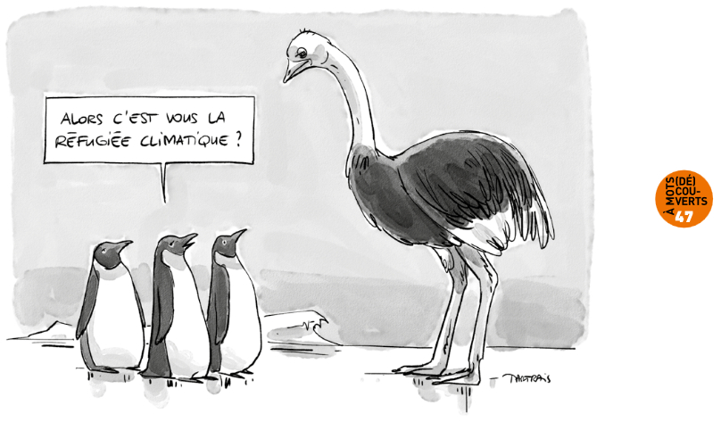dessin des manchots sur banquise demande à l'autruche c'est vous la réfugiée climatique&nbsp;?